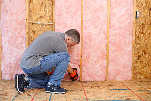 Best Commercial Insulation Services  in Waimalu, HI